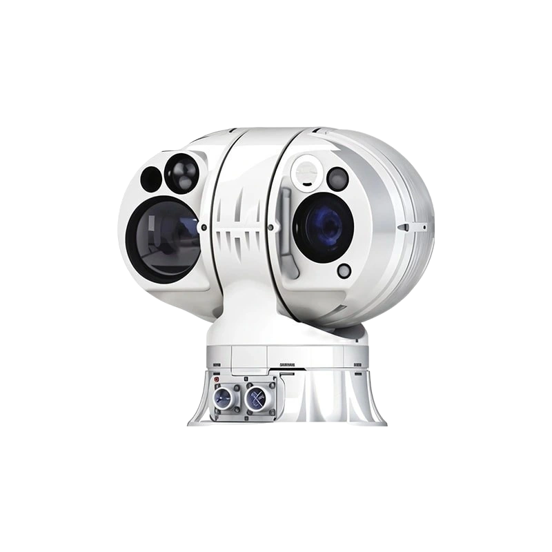 Smart Electronic Sentry